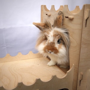May include: A brown and white rabbit with long fur peeks out of a wooden rabbit hutch. The hutch is made of plywood and has a scalloped edge.