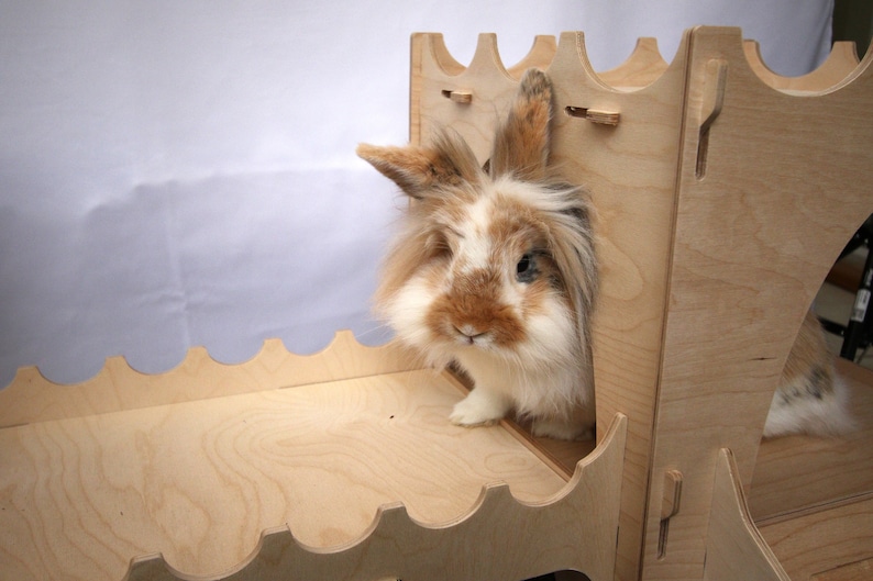 May include: A brown and white rabbit with long fur peeks out of a wooden rabbit hutch. The hutch is made of plywood and has a scalloped edge.