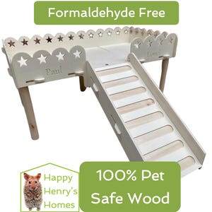 May include: A light-coloured wooden hamster habitat with a slide, star-shaped cutouts, and the names "Paul" and "Lionel" engraved. The text "Formaldehyde Free" and "100% Pet Safe Wood" are also visible. The habitat is designed for small pets.