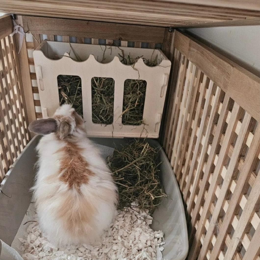 Rabbit Hay Feeder for IKEA Hol - Slot Together, Pet Safe Plywood