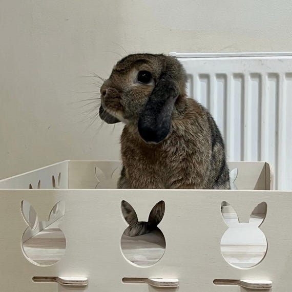 Deluxe Wooden Bunny Castle Playhouse For Rabbits & Small Pets - 2 Levels, Ramp, Tunnel, Easy Assembly