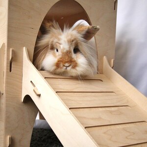 May include: A wooden rabbit hutch with a ramp. The hutch has a rounded opening and a ramp leading down to the floor. A fluffy brown and white rabbit is peeking out of the opening.