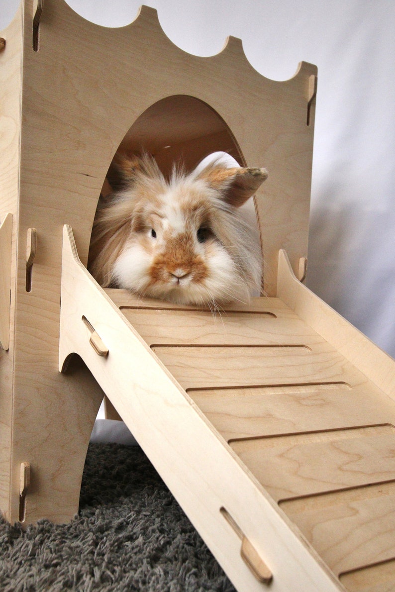 May include: A wooden rabbit hutch with a ramp. The hutch has a rounded opening and a ramp leading down to the floor. A fluffy brown and white rabbit is peeking out of the opening.