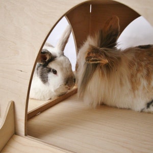 May include: Two rabbits, one white with gray markings and one brown and white, looking at each other through a wooden archway.