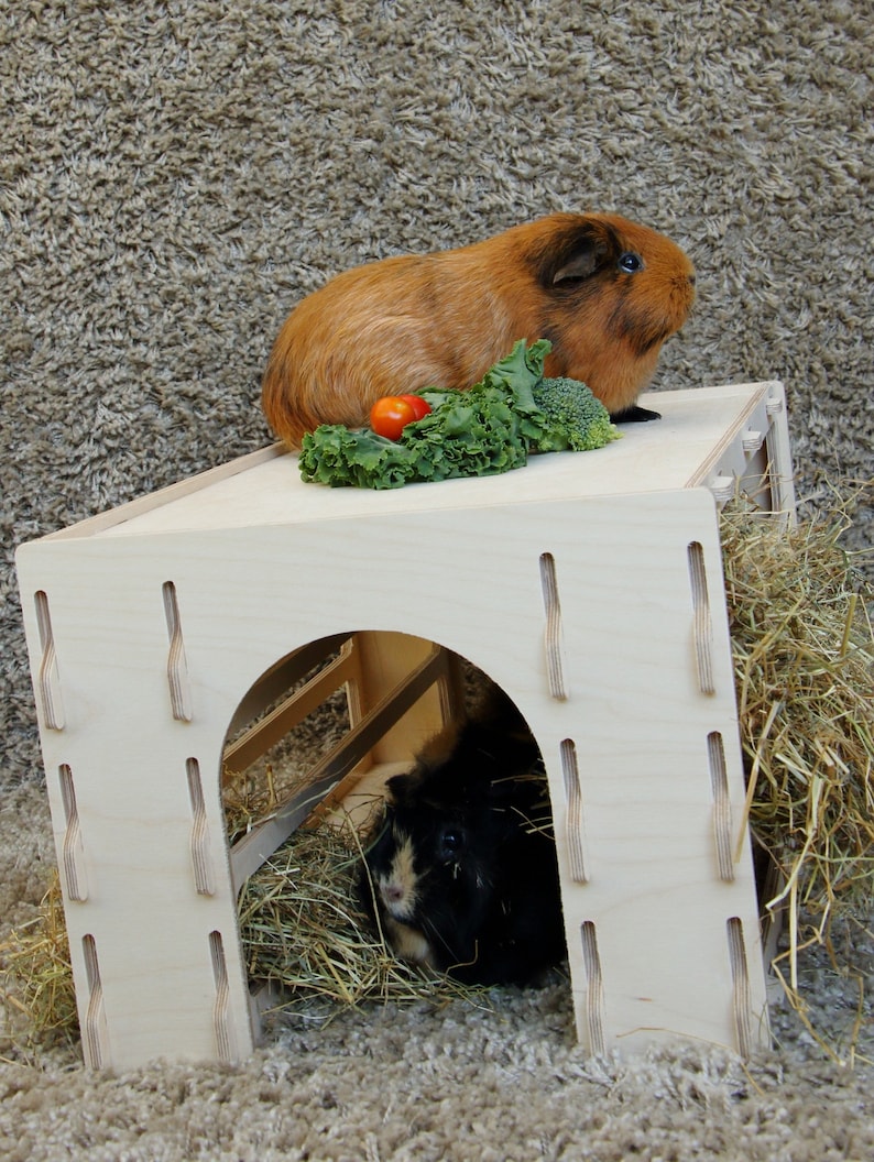 Guinea Pig Hay Tunnel Formaldehyde Free Non Toxic Wooden Etsy