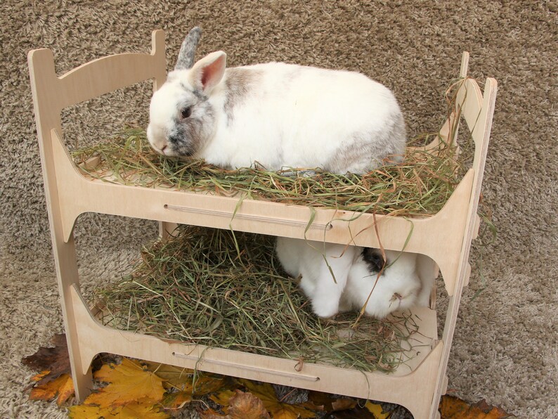 Slot Together Wooden Rabbit Bunk Bed Etsy