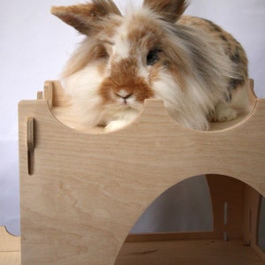 May include: A fluffy brown and white rabbit sits on a wooden platform with a rounded archway. The platform is made of light wood and has a decorative edge.