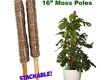 Moss Pole (2 pack) Stackable Plant Trellis for houseplants 16 inch stakes plants support