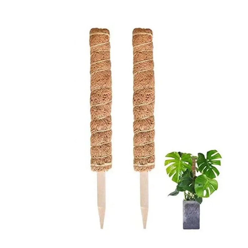 Plant Trellis Moss Pole Monstera Plant Support Coir Moss Pole Etsy
