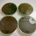 Farm Produce Sticker Tag 4 Piece Coaster Set - Etsy