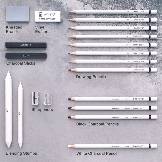 Drawing Pencils Sketch Pencil Art Supplies Set For Adults Beginners  Professional Sketching Art Graphite Charcoal Blending Stump Pencils Kit (29  Art Su