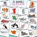 Marine Biology Anatomy Worksheets, Printable, Digital Download - Etsy