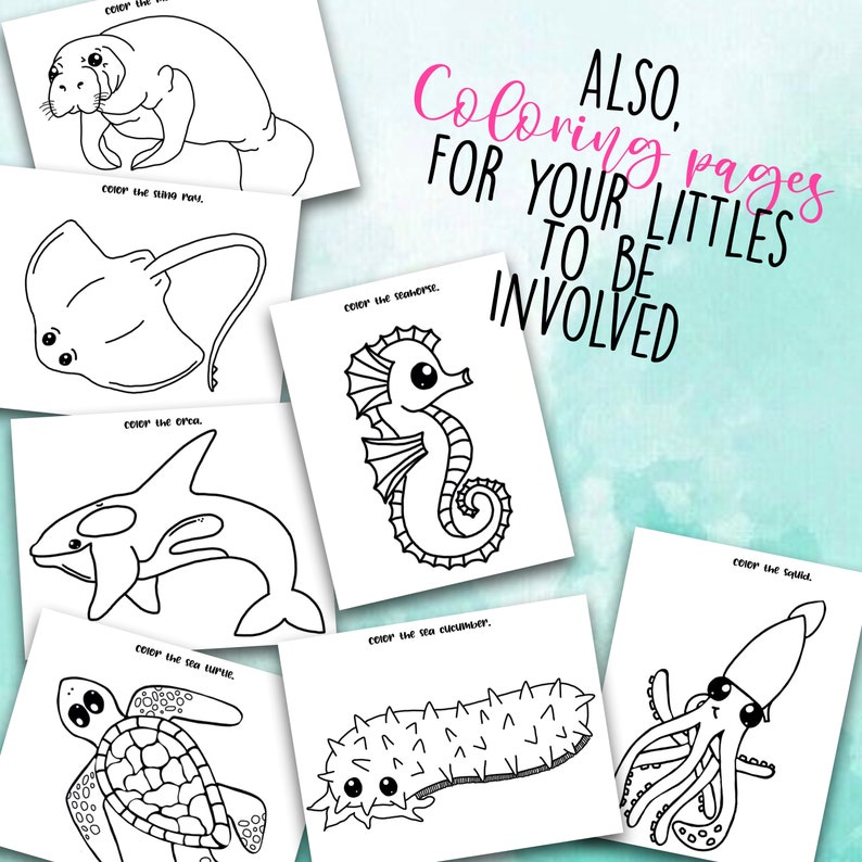 Marine Biology Anatomy Worksheets Printable Digital Download - Etsy