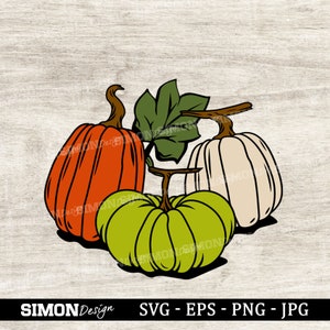 May include: Three pumpkins, one orange, one green, and one white, with a green leaf behind them. The pumpkins are drawn in a simple, cartoon style.