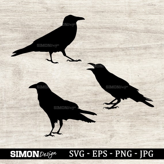 Download Crow Svg Raven Svg Crow Silhouette Crow Clipart Cricut Files Svg Png And Eps Instant Download