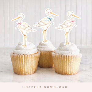 Stork Baby Shower Cake Toppers, Cupcake Topper Kit, Pink and Blue | Printable DIY