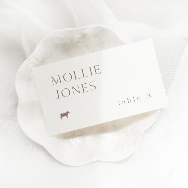 PRINTED Flat Modern Wedding Escort/Place Card | Customizable Wedding Name Cards | Printed Cards 2" x 3.5"