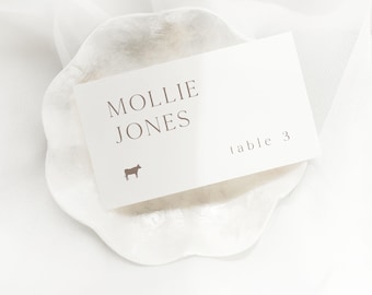 Modern Wedding Place Cards | Printed Escort Cards, Customizable