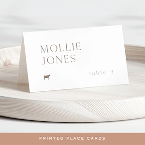 PRINTED Folded Wedding Place Card | Customizable Modern Wedding Name Cards | Folded Cards 3.5&quot; x 2&quot;