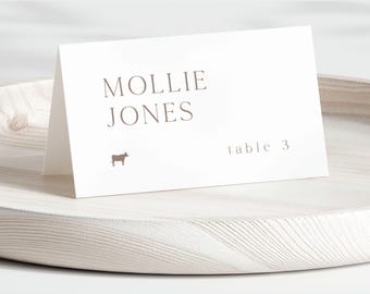 Printed Folded Wedding Place Cards | Modern Customizable Name Cards