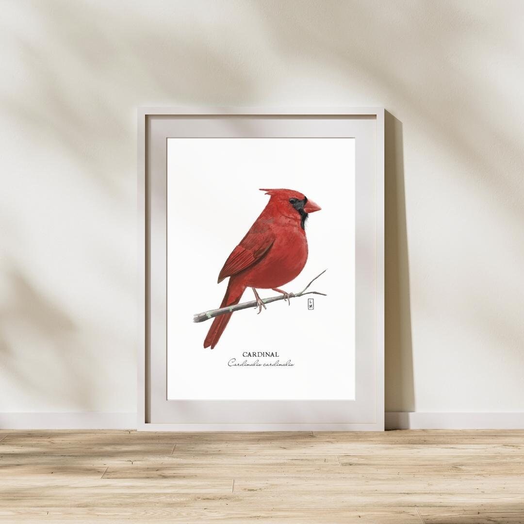 5x7 Cardinal Print | Bird Print | Cardinal Bird Print | Hand-designed ...