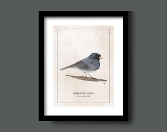 5x7 Vintage Dark-Eyed Junco Print | Vintage Bird Print | Dark-Eyed Junco Print | Hand-designed Dark-Eyed Junco Print