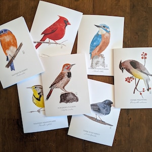 Bird Note Cards | Set of 7 | Bird Greeting Cards | Set of 7 Bird Note Cards