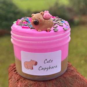 May include: A pink slime container with a brown and pink capybara figurine. The slime is topped with colourful sprinkles. A white label on the container reads "Cute Capybara" with a capybara illustration.