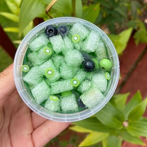 Pode incluir: Um recipiente de pl&aacute;stico transparente cheio de slime verde, fatias de kiwi e contas pretas e verdes.