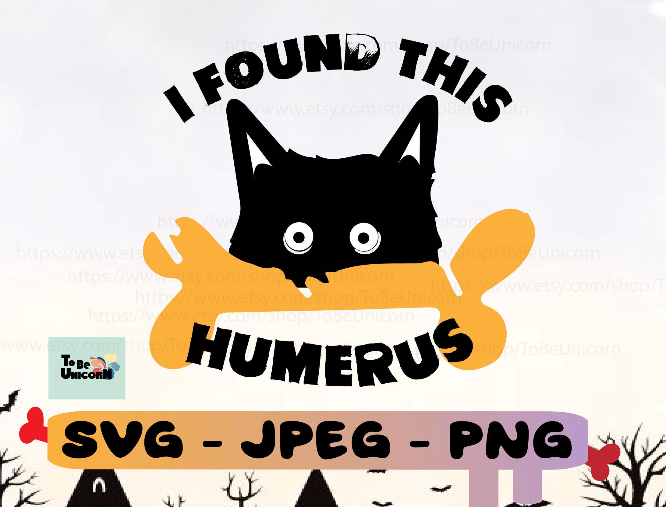 I Found This Humerus Black Cat