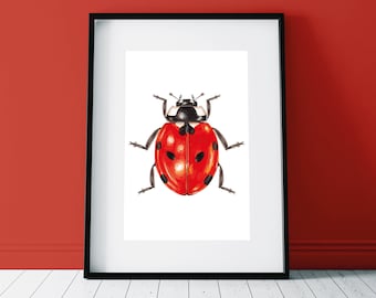 LadyBird Print, Insect Wall Art, Bug Poster, Lady Bird Poster Sign, Rode Downloadable Bug Sign, Wildlife Illustratie, Lady Bug Art Print
