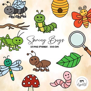 Clipart Insectes du Printemps