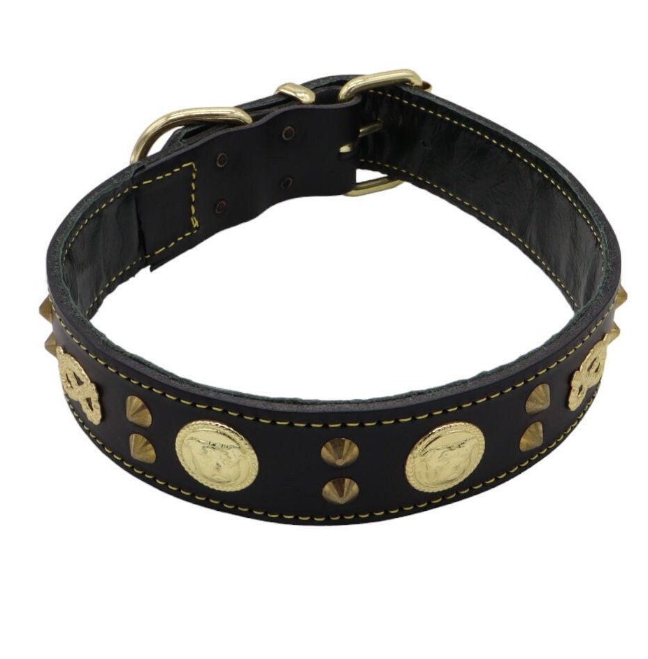 Staffy sales dog collar