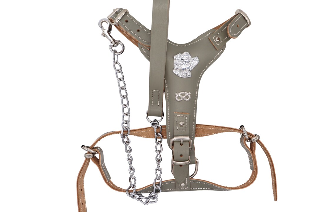 Leather Staffy Harness With a Leather Chain Lead Matching Staffordshire Bull Terrier Harness Set
