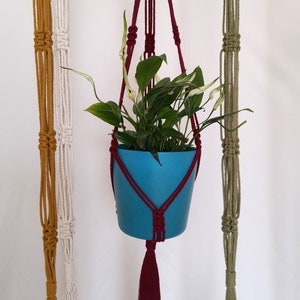 Macrame plant hanger - minimalist plant hanger - coloured plant hanger