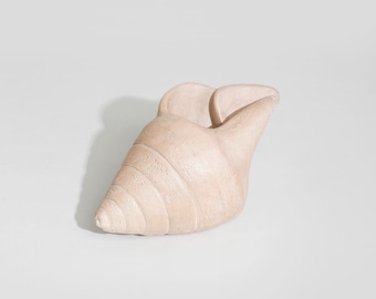 Plaster Shell Sculpture