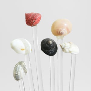 May include: A collection of six seashell cocktail stirrers. The shells are in various colors, including red, white, black, and tan. Each shell is attached to a clear acrylic stick.