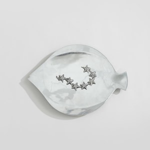 Silver Fish Dish