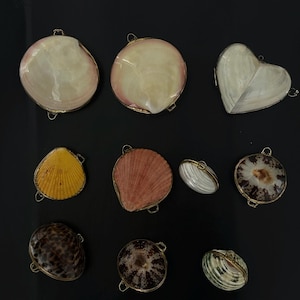 May include: A collection of decorative shell-shaped trinket boxes in various colors and patterns. The boxes are in the shape of a heart and various seashells, with gold-colored metal trim and hinges. The shells are set against a black background.
