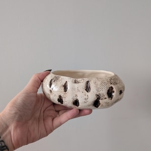 May include: Cream-colored ceramic bowl with a textured surface and dark brown spots. The bowl has an oval shape and a smooth interior. A decorative piece for the home.