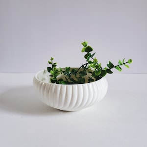 May include: A white ceramic planter with a ribbed design, featuring a small green plant with delicate leaves.