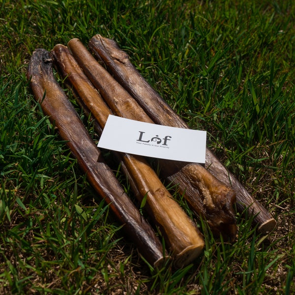 Lof 12-inch Monster Bully Sticks - Premium, geurvrij 100% rundvleespizzle van grasgevoerd vee