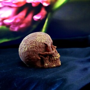 May include: A detailed, reddish-brown skull figurine with gold accents. Intricate Celtic knot patterns adorn the skull's surface. The teeth are also highlighted in gold. The skull rests on a dark blue velvet surface.