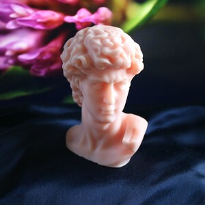 May include: A light pink bust of a classical male figure, possibly David, against a dark blue background. The sculpture has detailed facial features and curly hair. The bust is made of a smooth material.
