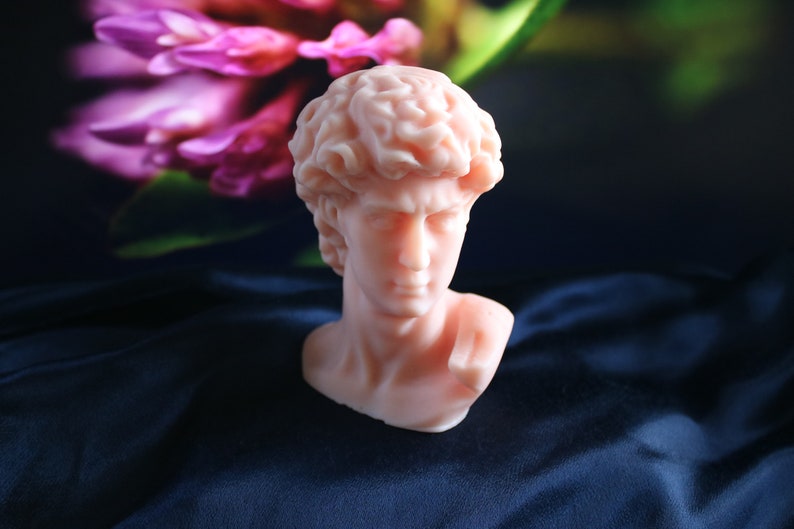 May include: A light pink bust of a classical male figure, possibly David, against a dark blue background. The sculpture has detailed facial features and curly hair. The bust is made of a smooth material.