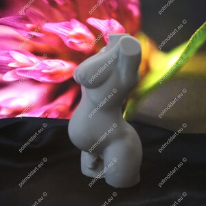 May include: A white sculpture of a pregnant torso. The sculpture has a smooth, matte finish. The background features a blurred image of pink and green floral elements.
