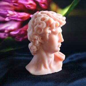 May include: A light pink bust of a classical figure, likely a sculpture, with detailed facial features and curly hair. The bust is set against a dark blue fabric and a blurred background of purple flowers.