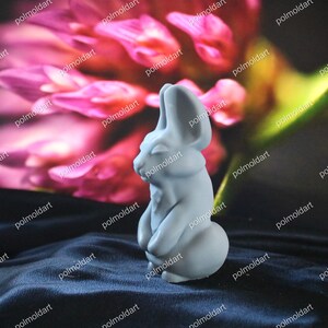 Funny Bunny 10cm 3D Silicone Mold for making candles, resin,soap, funny mold, rabbit, bachelorette party image 6