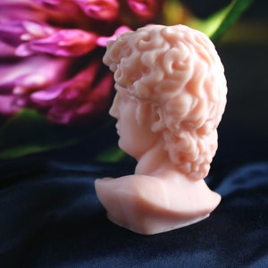 May include: A small, peach-colored bust of a classical figure, likely a sculpture, is set against a dark blue background. The bust is in profile, showcasing detailed facial features and curly hair. A blurred pink flower is in the background.