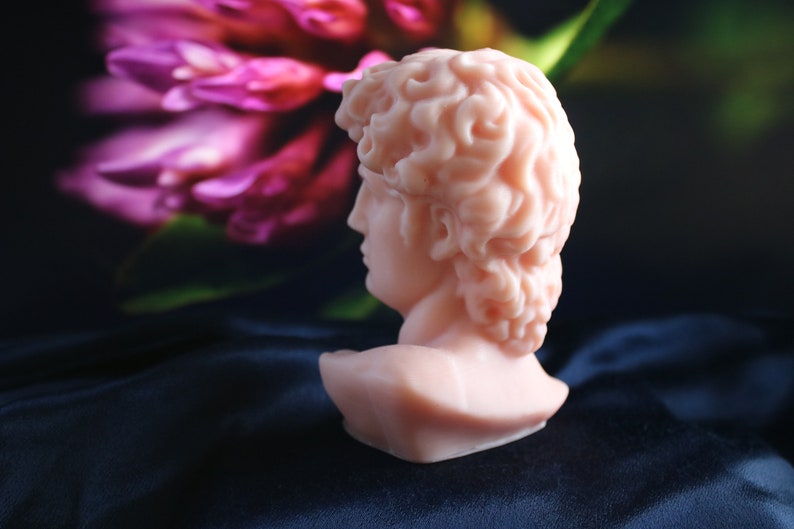 May include: A small, peach-colored bust of a classical figure, likely a sculpture, is set against a dark blue background. The bust is in profile, showcasing detailed facial features and curly hair. A blurred pink flower is in the background.